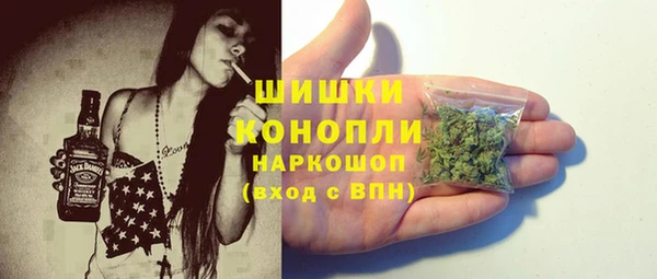 прущая мука Ельня