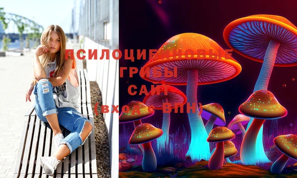 прущий лед Елабуга