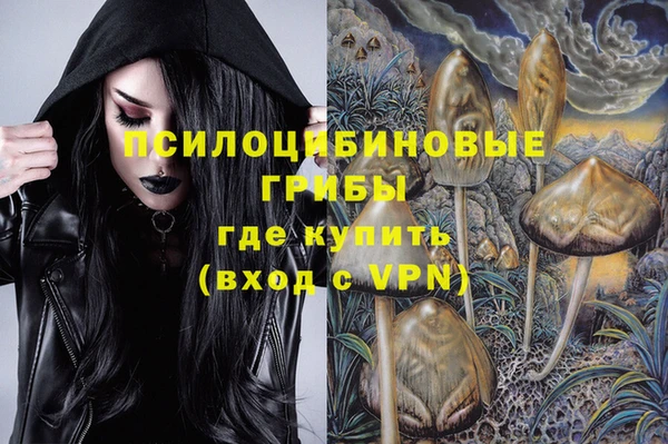 а пвп мука Елизово