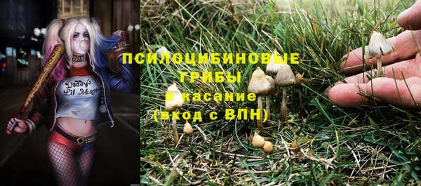 а пвп мука Елизово