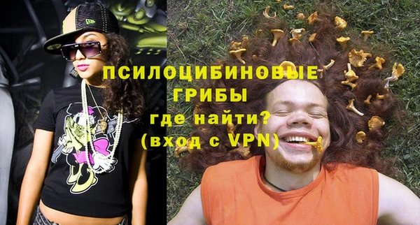 прущая мука Ельня
