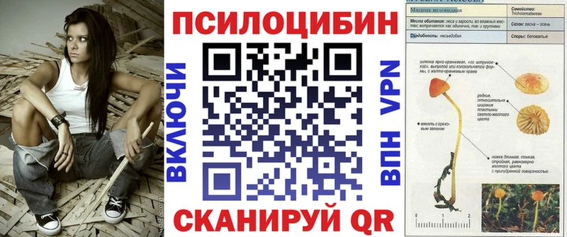 Галлюциногенные грибы мицелий  Пермь 